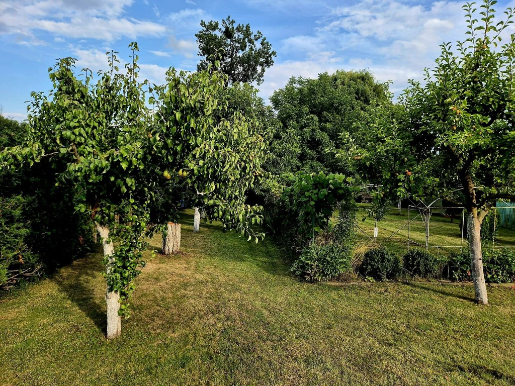 Dom na sprzedaż Banie 153 m2 | Arka Nieruchomości