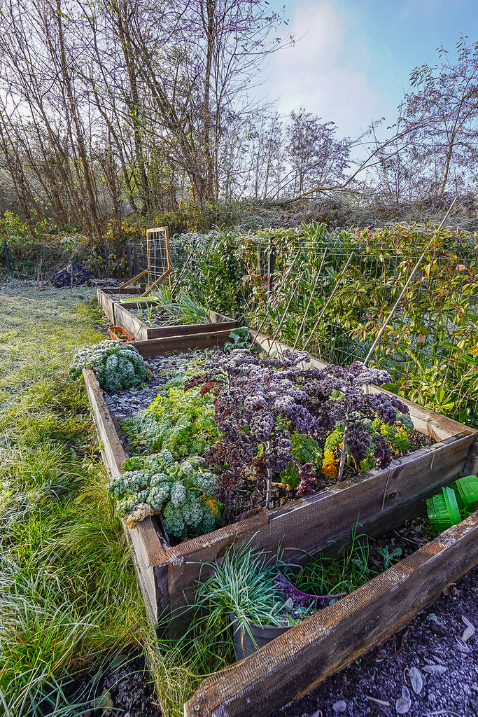 Dom na sprzedaż Siadło Dolne 125 m2 | Arka Nieruchomości