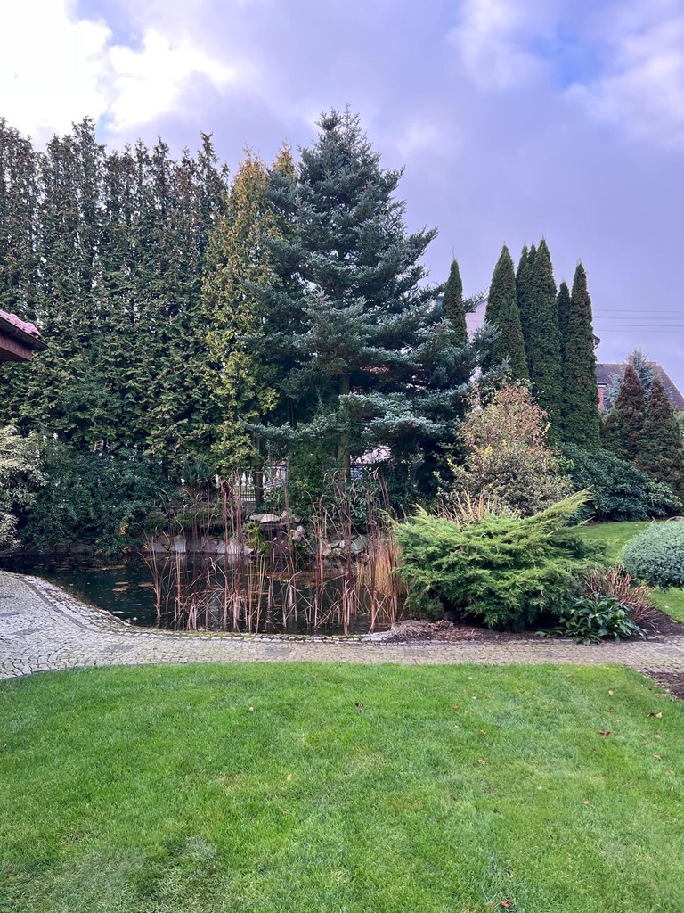 Dom na sprzedaż Bierzwnik 200 m2 | Arka Nieruchomości