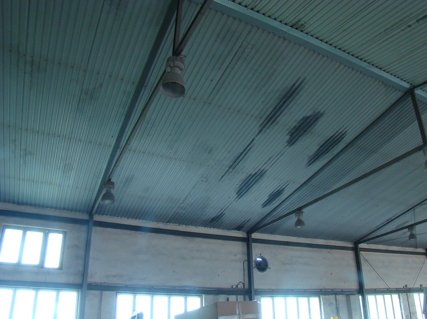 Obiekt na wynajem Mierzyn 500 m2 | Arka Nieruchomości