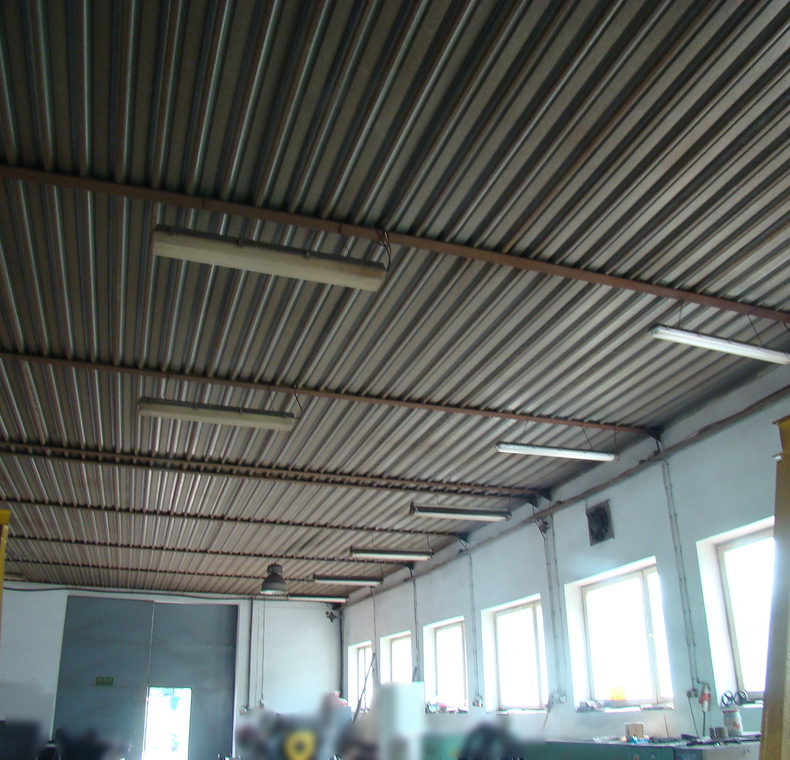 Obiekt na wynajem Mierzyn 500 m2 | Arka Nieruchomości