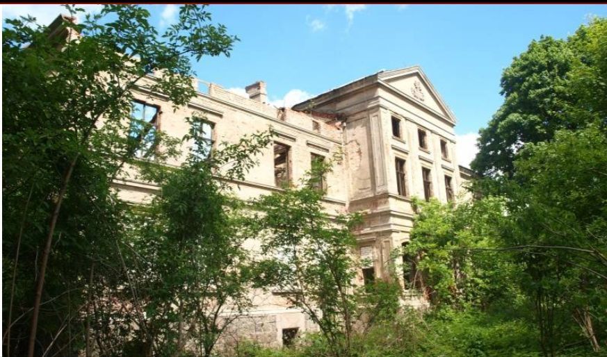 Dom na sprzedaż Wierzbięcin 574 m2 | Arka Nieruchomości