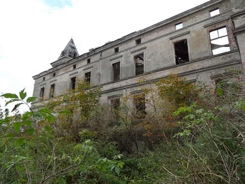 Dom na sprzedaż Wierzbięcin 574 m2 | Arka Nieruchomości