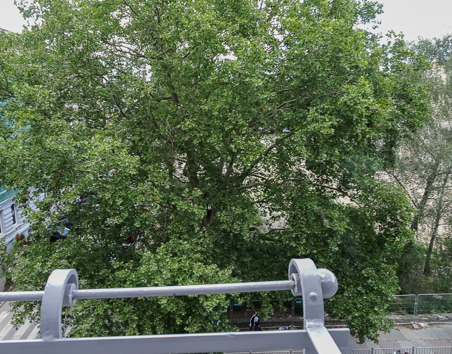 Mieszkanie na wynajem Szczecin, Centrum 118 m2 | Arka Nieruchomości