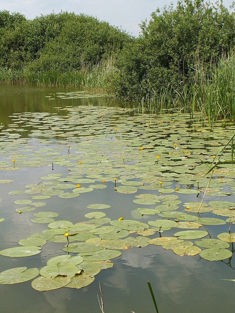 Działka na sprzedaż Giżyn 1 028 m2 | Arka Nieruchomości