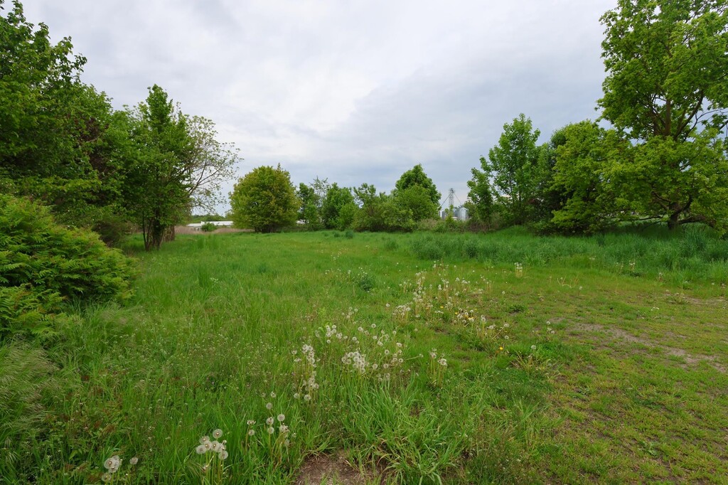 Działka na sprzedaż Żółwia Błoć 1 091 m2 | Arka Nieruchomości