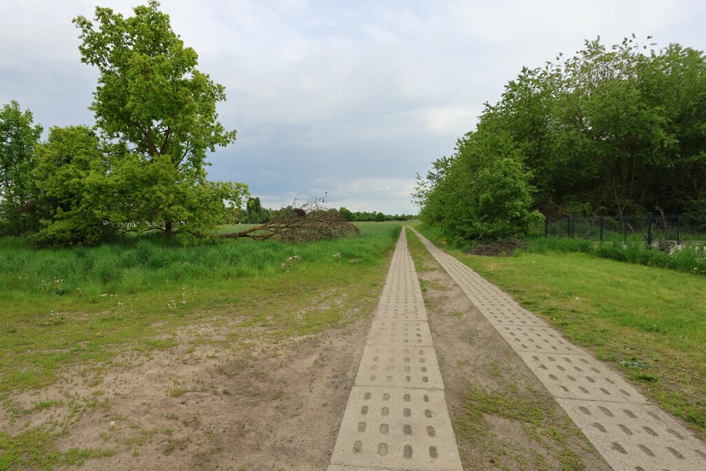 Działka na sprzedaż Żółwia Błoć 1 091 m2 | Arka Nieruchomości