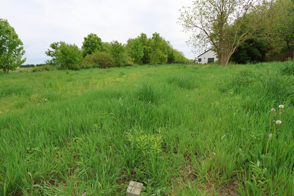 Działka na sprzedaż Żółwia Błoć 1 091 m2 | Arka Nieruchomości
