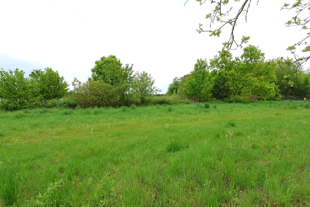 Działka na sprzedaż Żółwia Błoć 1 091 m2 | Arka Nieruchomości