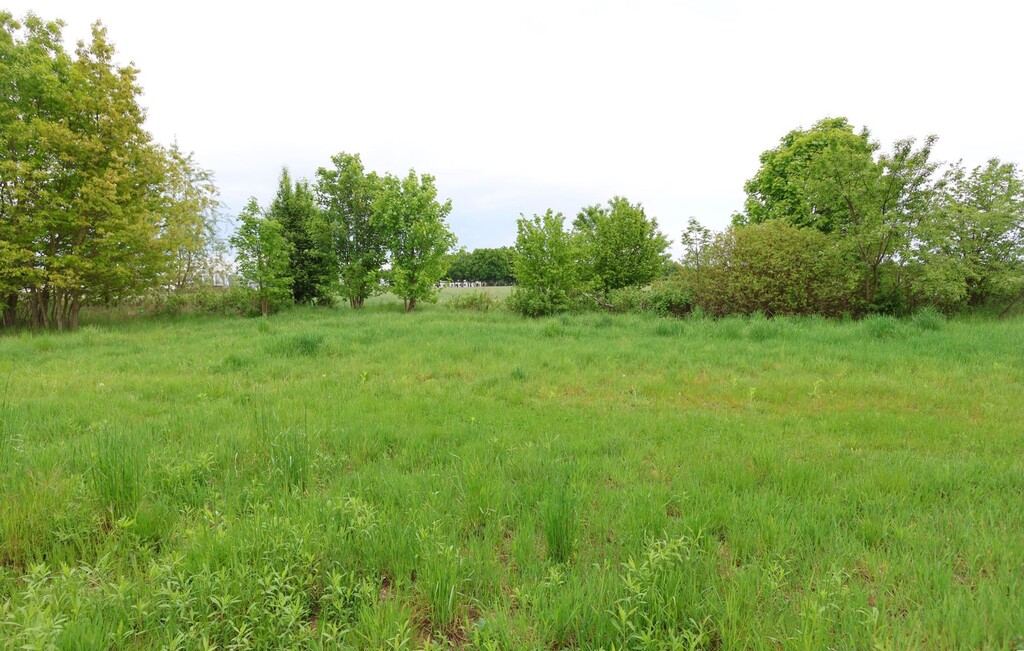 Działka na sprzedaż Żółwia Błoć 1 091 m2 | Arka Nieruchomości