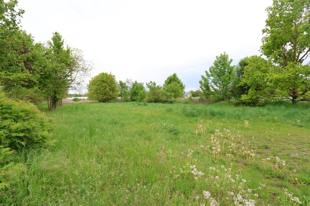 Działka na sprzedaż Żółwia Błoć 1 091 m2 | Arka Nieruchomości