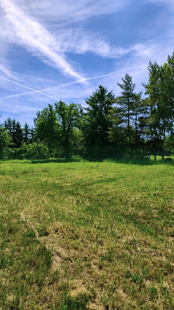 Działka na sprzedaż Sowno 1 240 m2 | Arka Nieruchomości