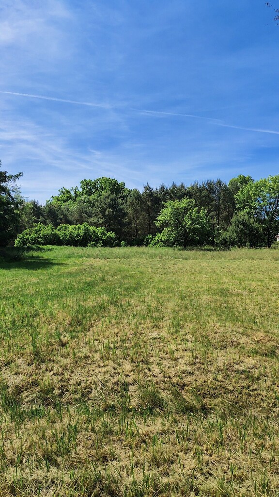 Działka na sprzedaż Sowno 1 240 m2 | Arka Nieruchomości