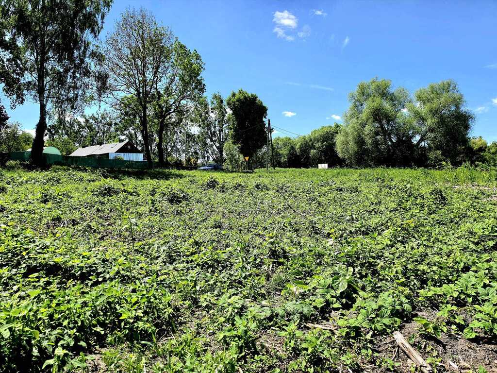 Działka na sprzedaż Chlebowo 1 331 m2 | Arka Nieruchomości