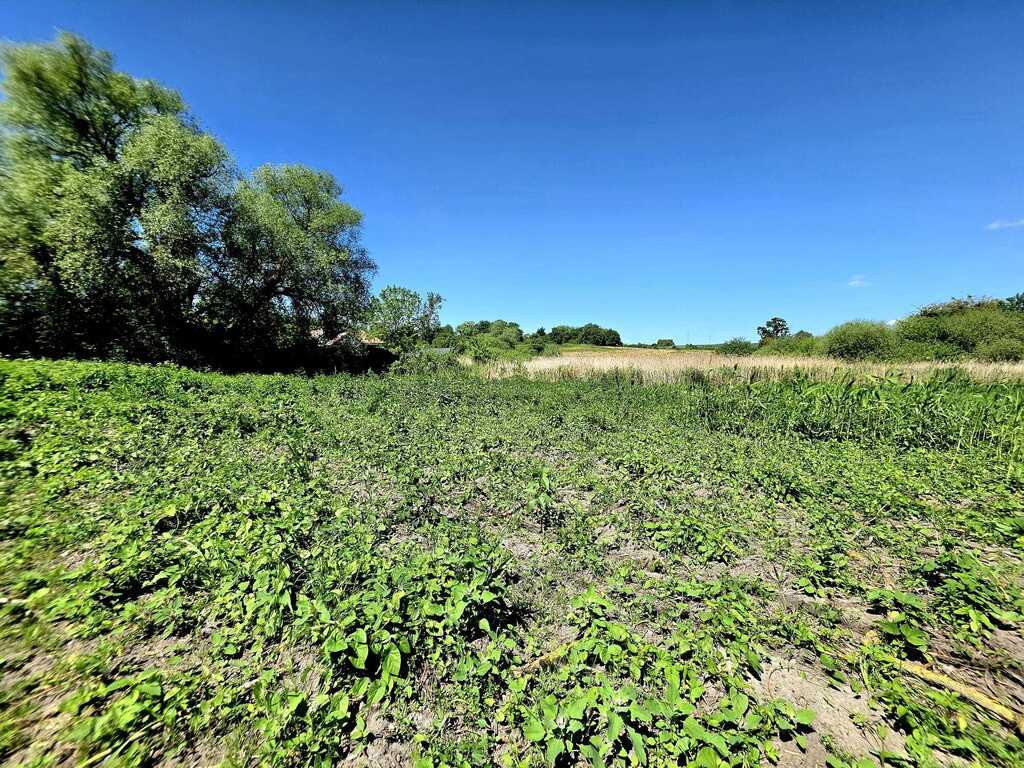 Działka na sprzedaż Chlebowo 1 331 m2 | Arka Nieruchomości