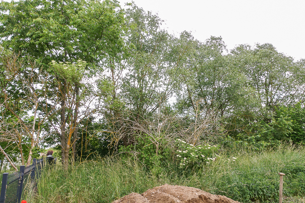 Działka na sprzedaż Dobra 796 m2 | Arka Nieruchomości