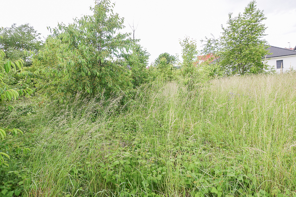 Działka na sprzedaż Dobra 783 m2 | Arka Nieruchomości
