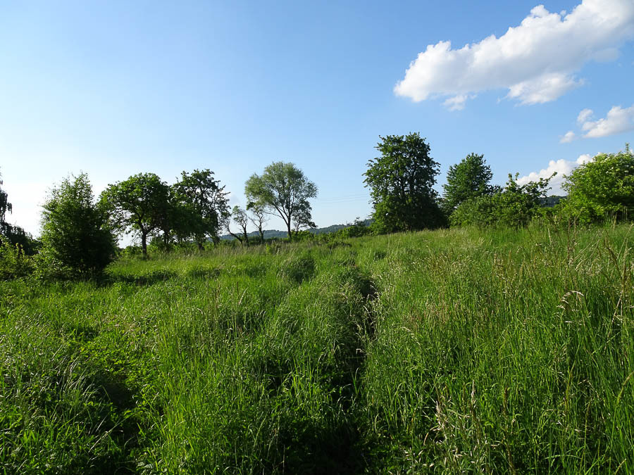 Działka na sprzedaż Binowo 1 962 m2 | Arka Nieruchomości