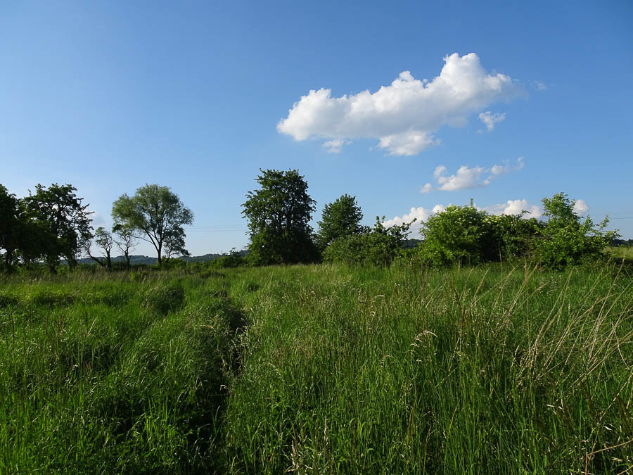 Działka na sprzedaż Binowo 1 962 m2 | Arka Nieruchomości