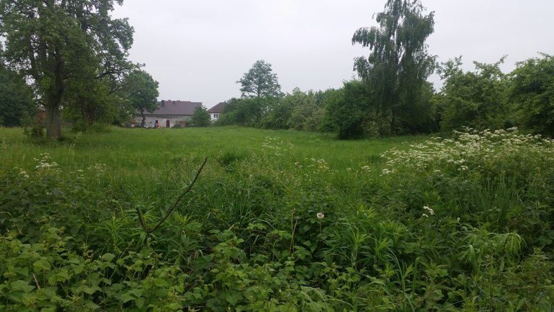 Działka na sprzedaż Binowo 1 962 m2 | Arka Nieruchomości
