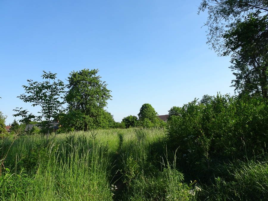 Działka na sprzedaż Binowo 1 962 m2 | Arka Nieruchomości
