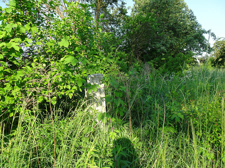 Działka na sprzedaż Binowo 1 962 m2 | Arka Nieruchomości