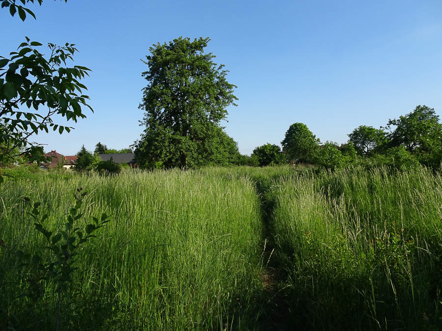 Działka na sprzedaż Binowo 1 962 m2 | Arka Nieruchomości