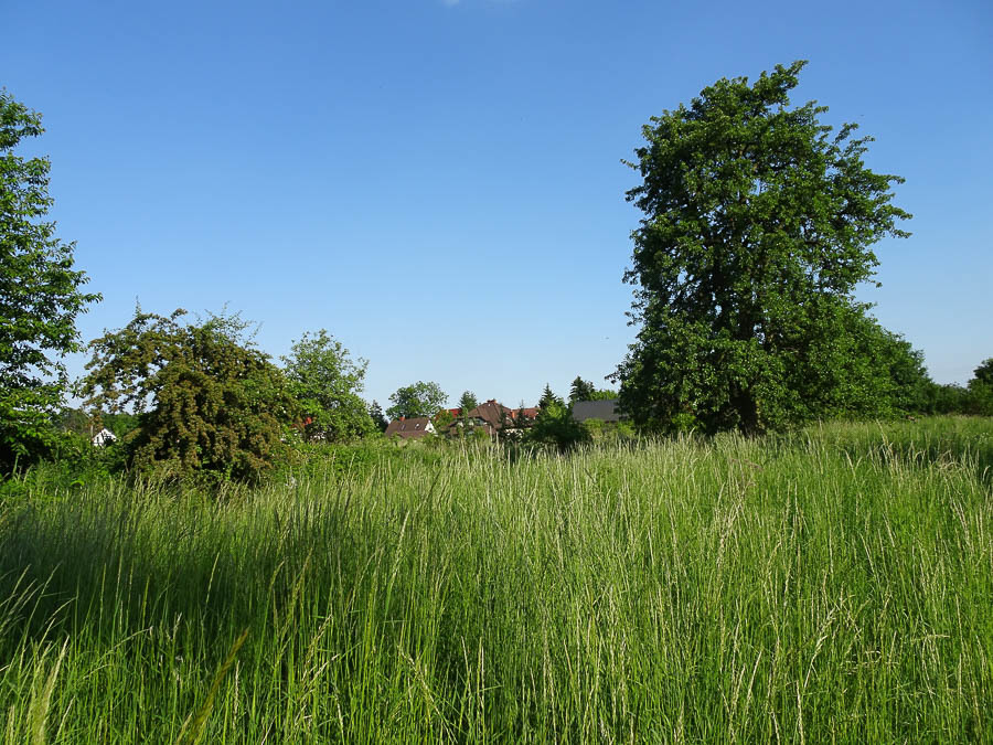 Działka na sprzedaż Binowo 1 962 m2 | Arka Nieruchomości