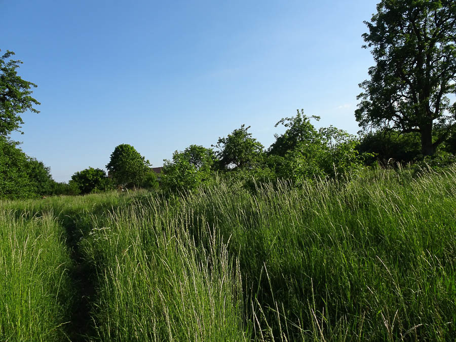 Działka na sprzedaż Binowo 1 962 m2 | Arka Nieruchomości