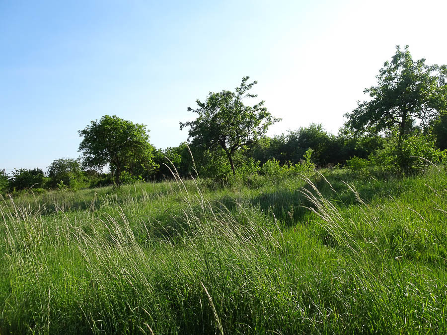 Działka na sprzedaż Binowo 1 962 m2 | Arka Nieruchomości