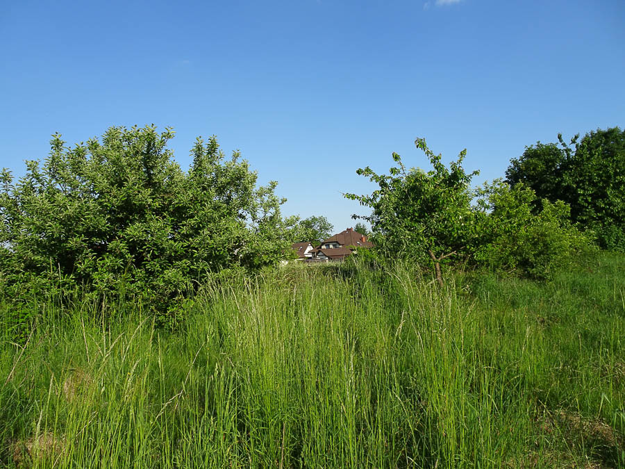 Działka na sprzedaż Binowo 1 962 m2 | Arka Nieruchomości