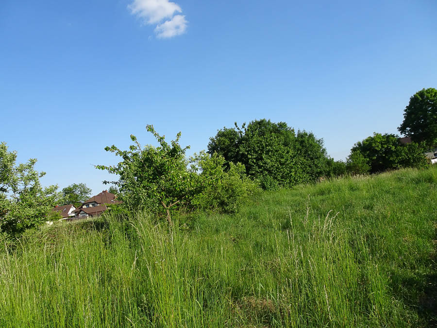 Działka na sprzedaż Binowo 1 962 m2 | Arka Nieruchomości