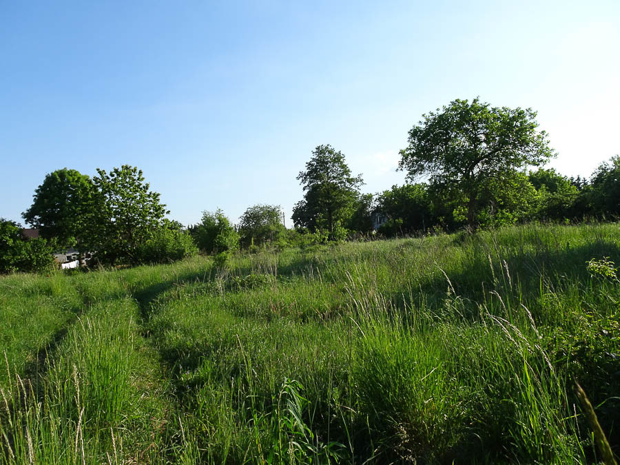 Działka na sprzedaż Binowo 1 962 m2 | Arka Nieruchomości