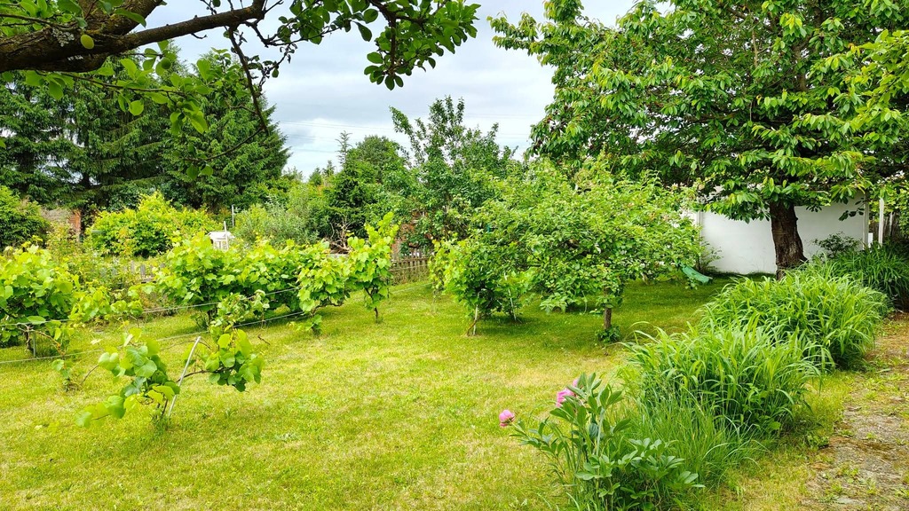Działka na sprzedaż Szczecin, Turzyn 529 m2 | Arka Nieruchomości
