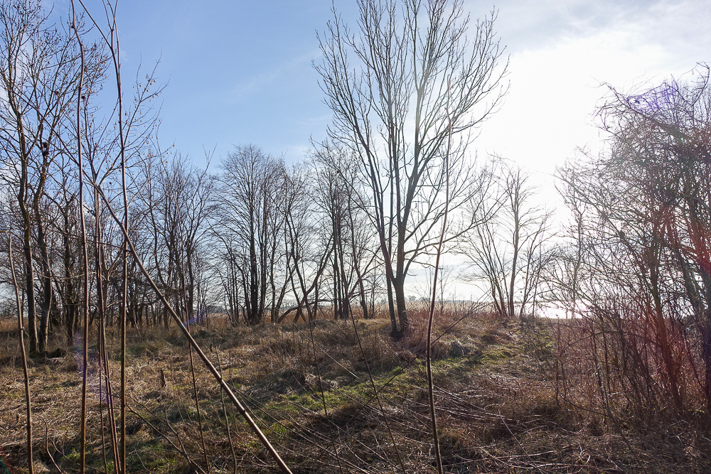 Obiekt na sprzedaż Stepnica 685 m2 | Arka Nieruchomości
