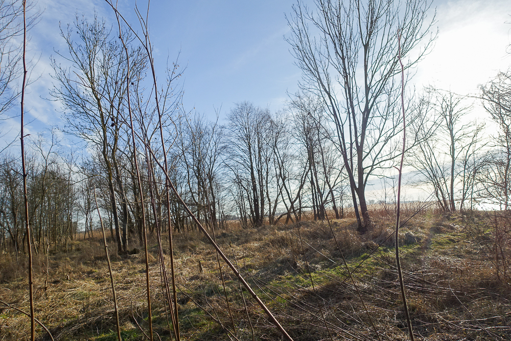 Obiekt na sprzedaż Stepnica 685 m2 | Arka Nieruchomości