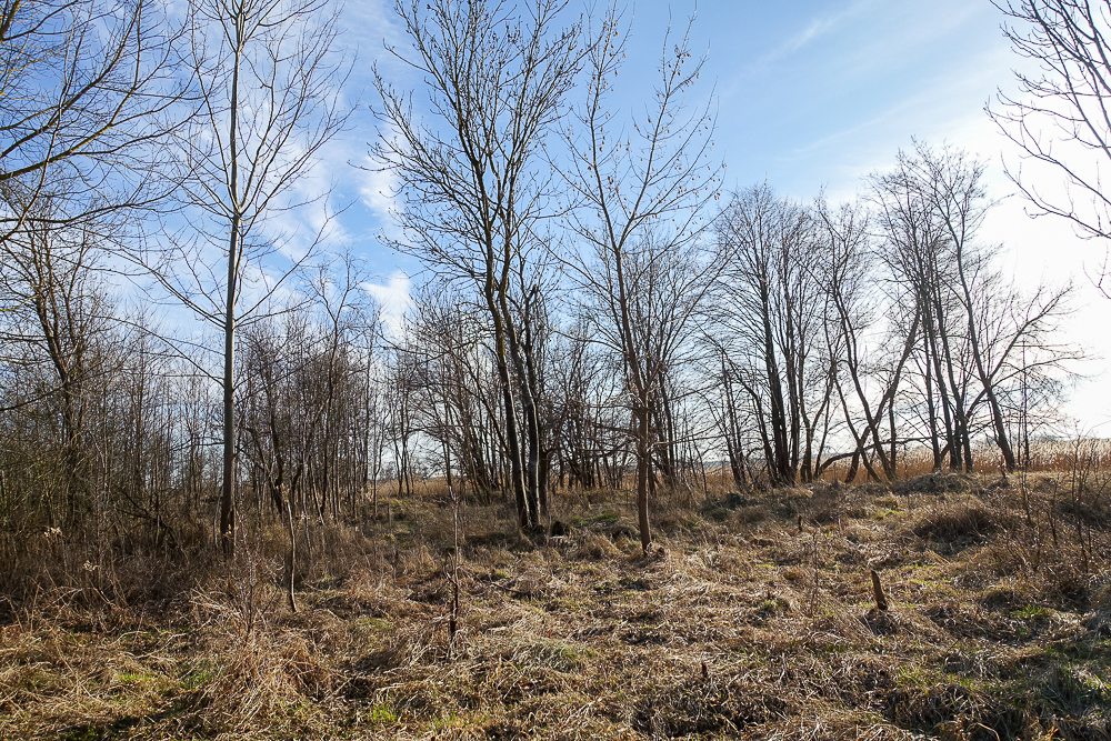 Obiekt na sprzedaż Stepnica 685 m2 | Arka Nieruchomości