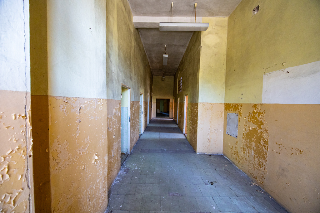 Obiekt na sprzedaż Chojna 2 456 m2 | Arka Nieruchomości