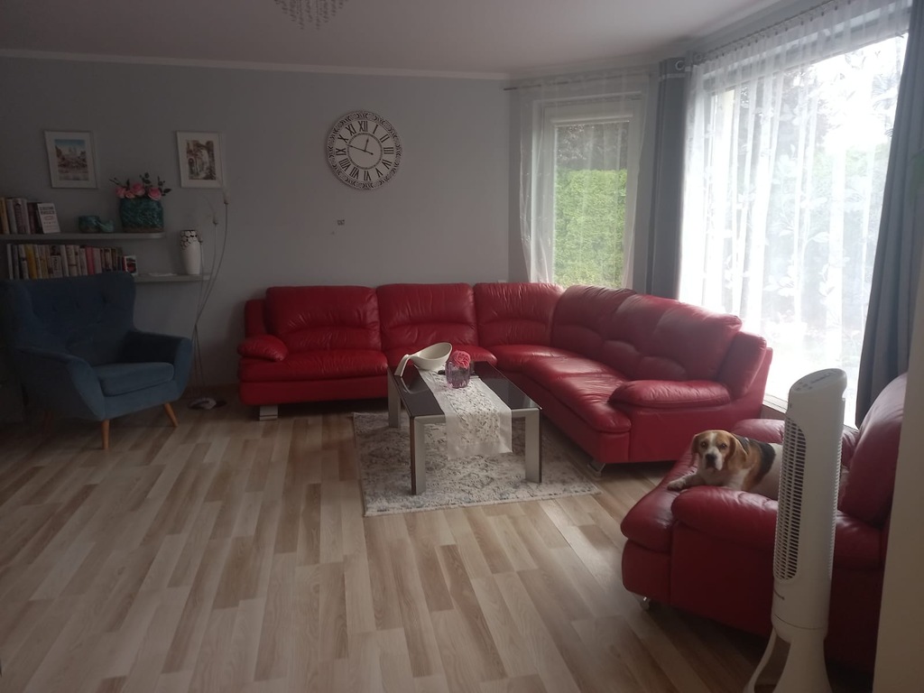 Dom na sprzedaż Mierzyn 285 m2 | Arka Nieruchomości
