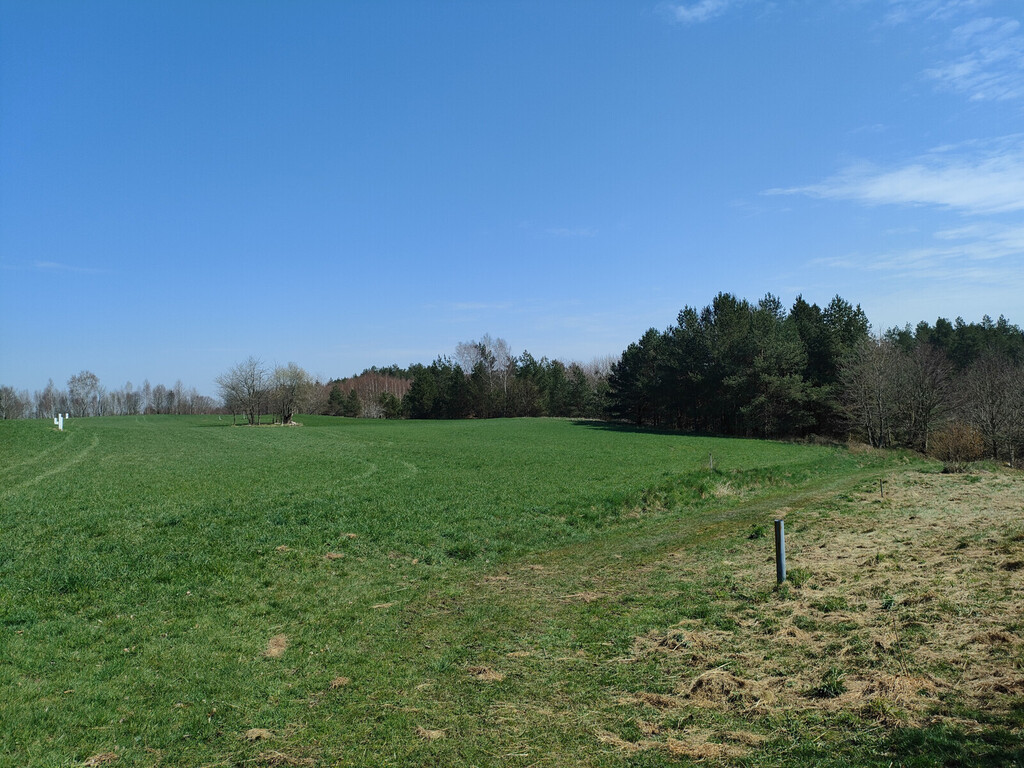 Działka inwestycyjna - Rąb gmina Przodkowo