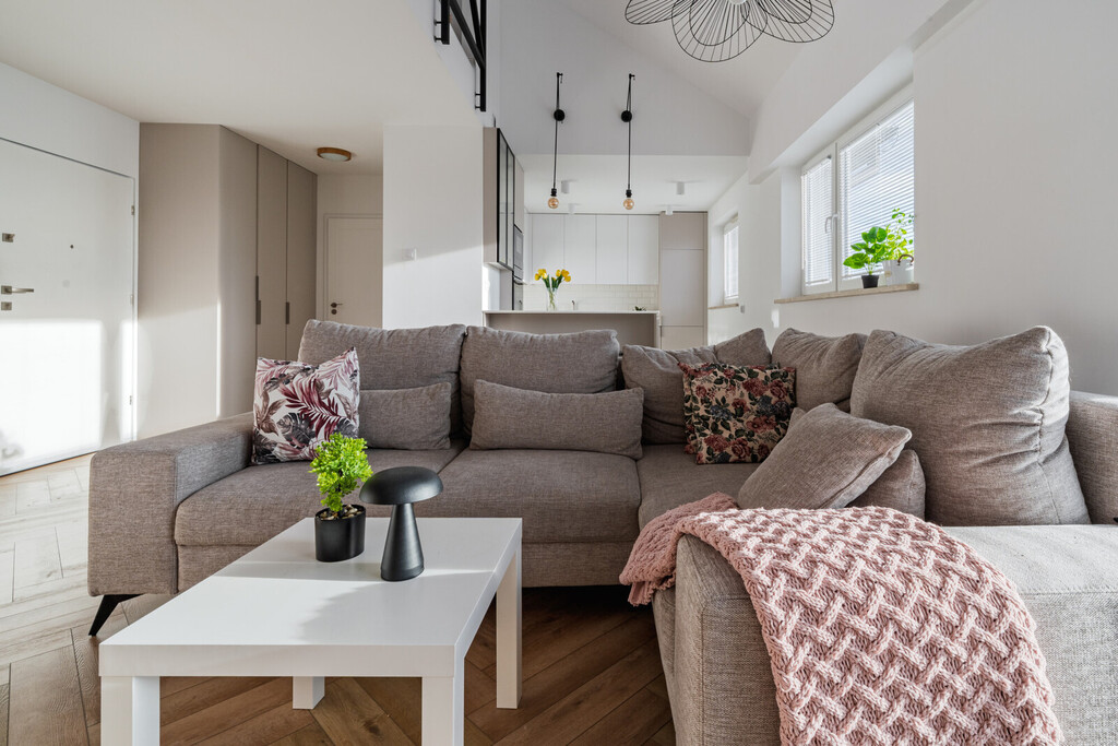 LOFT gotowy do wprowadzenia | południowy - zachód