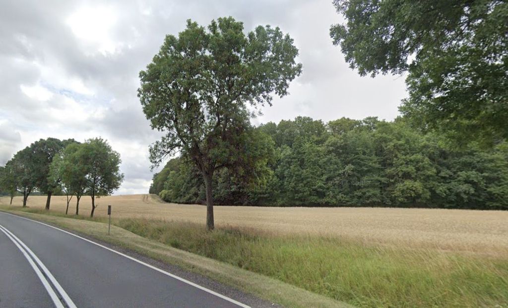Działka na sprzedaż, Sady Dolne, dolnośląskie – zdjęcie 6