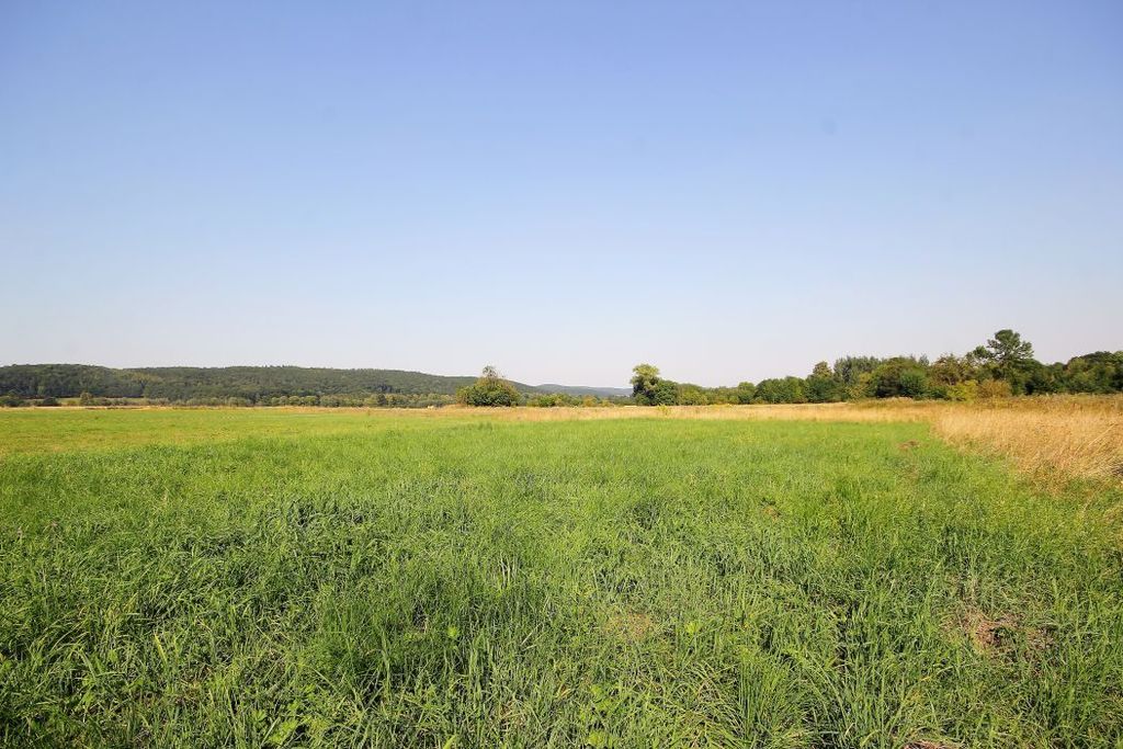 Działka na sprzedaż, Jastrowiec, dolnośląskie – zdjęcie 5
