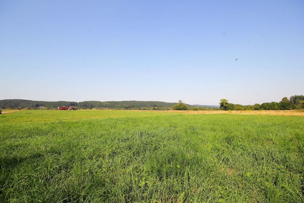 Działka na sprzedaż, Jastrowiec, dolnośląskie – zdjęcie 6