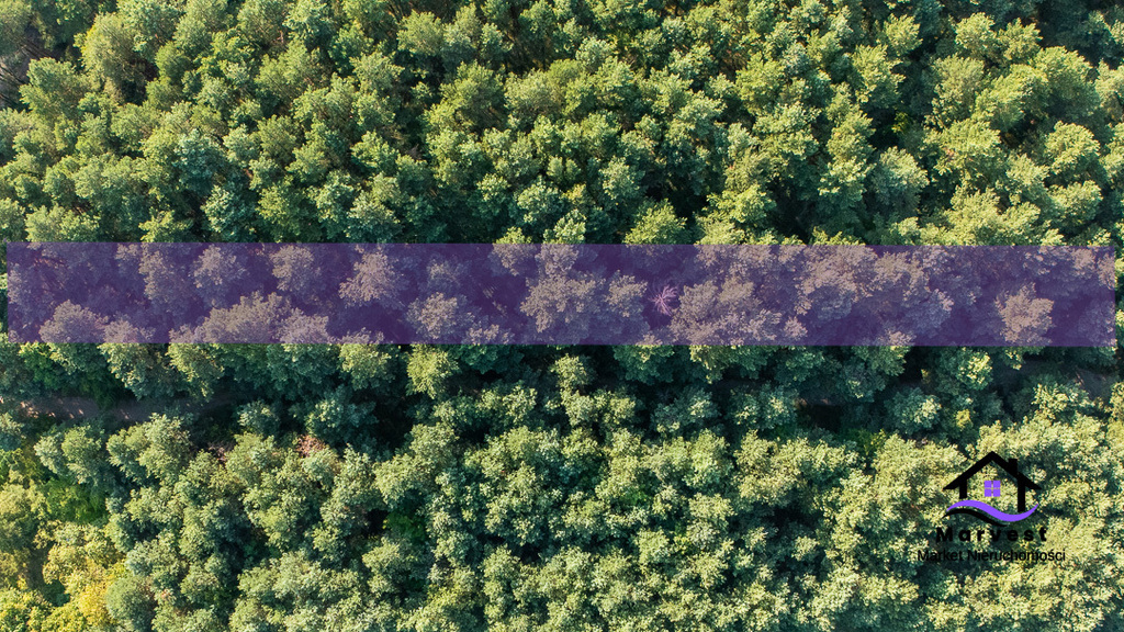 Suliszowice | Działka leśna na jurze