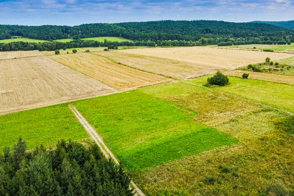 Działka na sprzedaż, Jastrowiec, dolnośląskie – zdjęcie 2