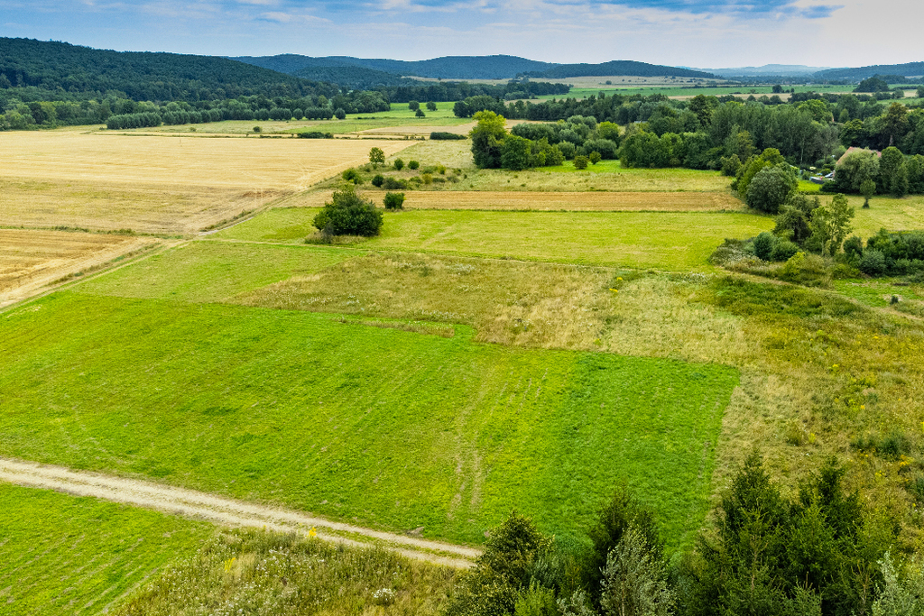 Działka na sprzedaż, Jastrowiec, dolnośląskie – zdjęcie 3