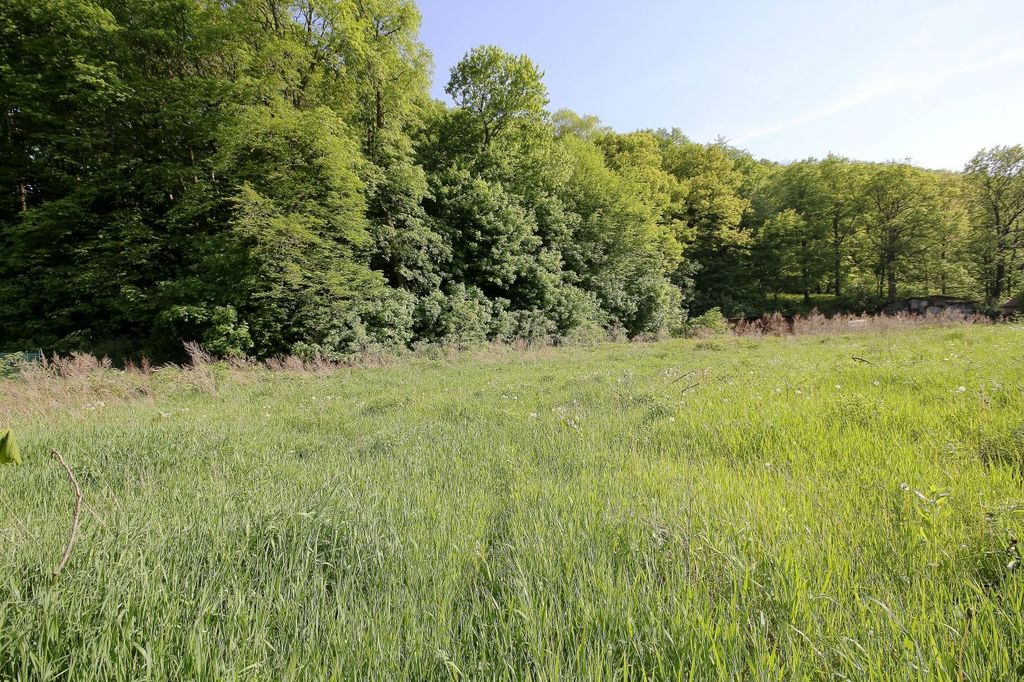 Działka na sprzedaż, Myślibórz, dolnośląskie – zdjęcie 7