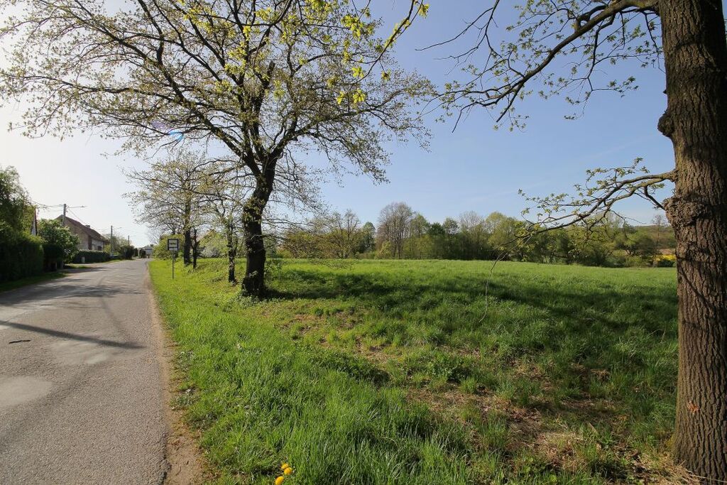Działka na sprzedaż, Kwietniki, dolnośląskie – zdjęcie 7