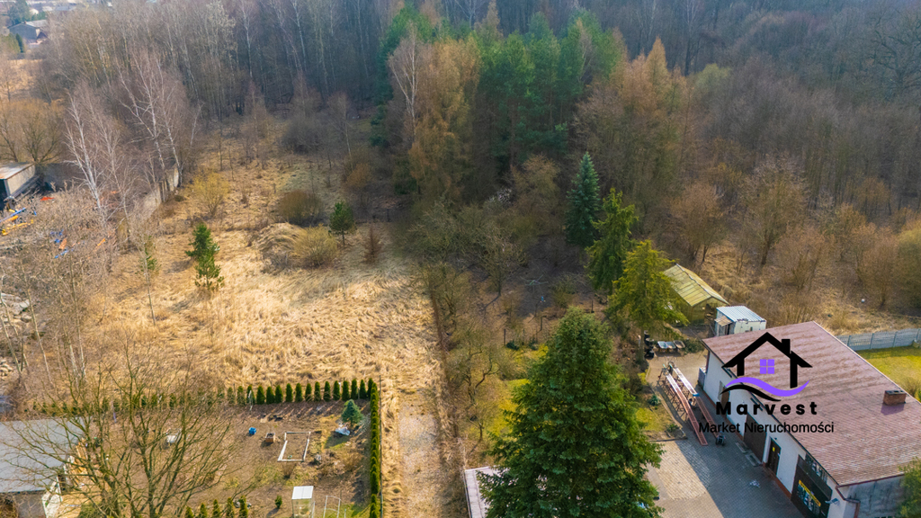 Dzbów | Działka budowlana z pozwoleniem